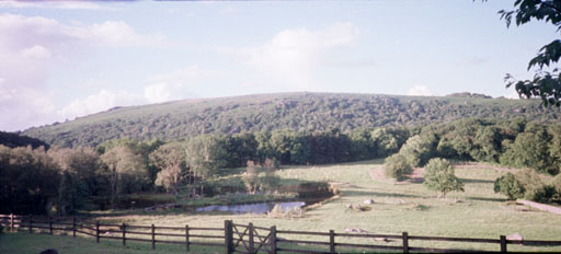 Cleave Hill, Devon S24